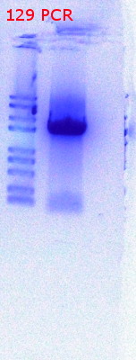 RTENOTITLE