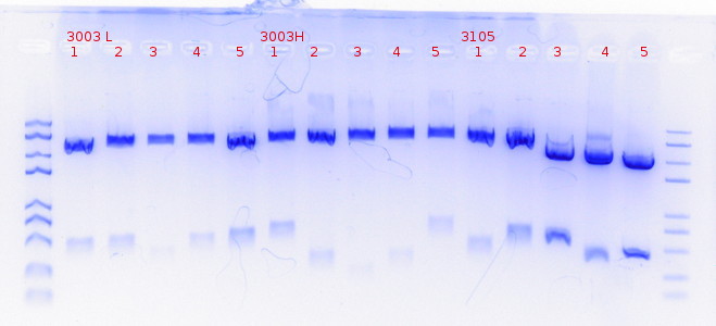RTENOTITLE
