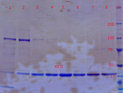RTENOTITLE