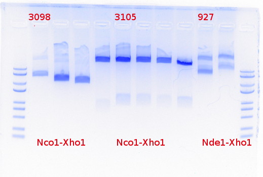 RTENOTITLE