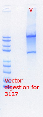 RTENOTITLE