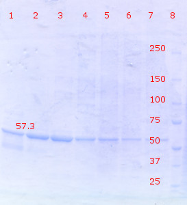 RTENOTITLE