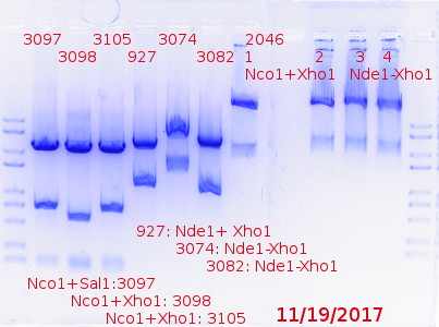 RTENOTITLE