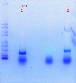 RTENOTITLE