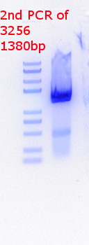 RTENOTITLE