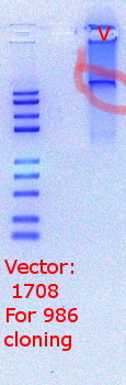 RTENOTITLE