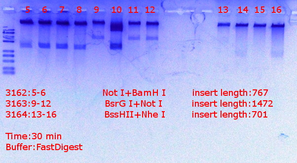 RTENOTITLE
