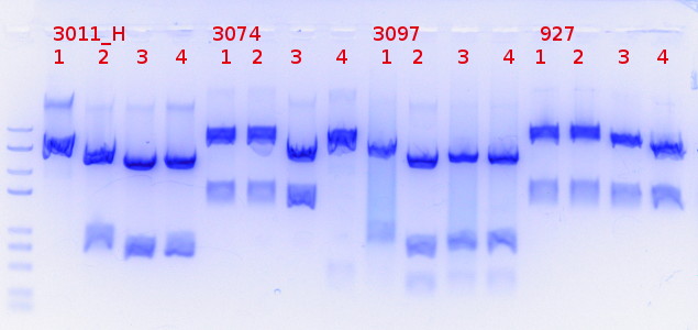 RTENOTITLE