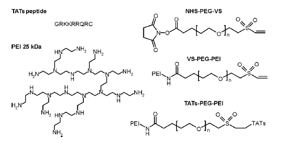 RTENOTITLE