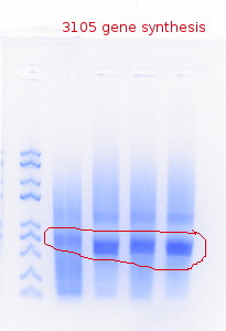 RTENOTITLE