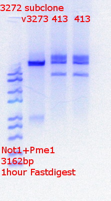 RTENOTITLE