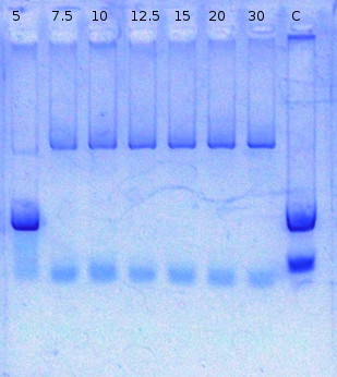 RTENOTITLE