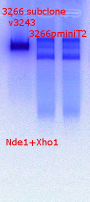 RTENOTITLE