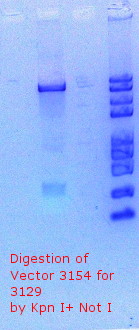 RTENOTITLE
