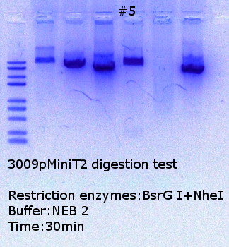 RTENOTITLE