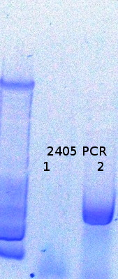 RTENOTITLE