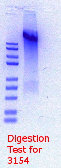 RTENOTITLE