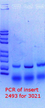 RTENOTITLE