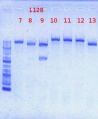 Thumbnail for version as of 13:15, 5 May 2012