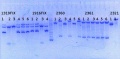 Thumbnail for version as of 16:20, 10 October 2014