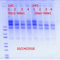 Thumbnail for version as of 12:52, 27 October 2018