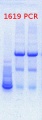 Thumbnail for version as of 11:03, 24 May 2013