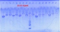 Thumbnail for version as of 12:37, 27 June 2013