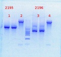 Thumbnail for version as of 15:36, 6 May 2014