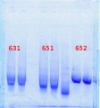Thumbnail for version as of 10:40, 10 June 2013