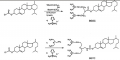 Thumbnail for version as of 18:57, 11 December 2013