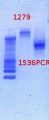 Thumbnail for version as of 14:11, 5 February 2013