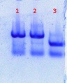 Thumbnail for version as of 11:54, 14 July 2011
