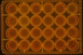 Thumbnail for version as of 15:49, 31 March 2016