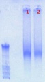 Thumbnail for version as of 10:24, 4 January 2013