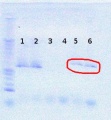 Thumbnail for version as of 12:28, 24 July 2012