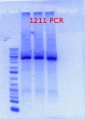 Thumbnail for version as of 15:37, 11 June 2012