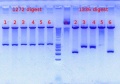 Thumbnail for version as of 14:12, 22 August 2012