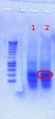 Thumbnail for version as of 14:38, 1 August 2012