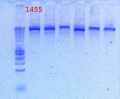 Thumbnail for version as of 14:37, 29 November 2012