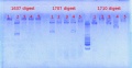 Thumbnail for version as of 14:15, 22 March 2013