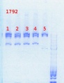 Thumbnail for version as of 14:37, 15 August 2013