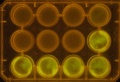 Thumbnail for version as of 13:44, 8 January 2012
