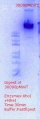 Thumbnail for version as of 18:54, 13 March 2018