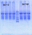 Thumbnail for version as of 15:09, 14 June 2013