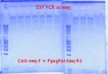 Thumbnail for version as of 09:55, 28 June 2012