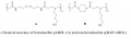 Thumbnail for version as of 17:16, 5 March 2011