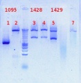 Thumbnail for version as of 11:49, 19 October 2012