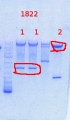 Thumbnail for version as of 13:51, 12 August 2013