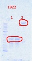 Thumbnail for version as of 10:14, 19 November 2013