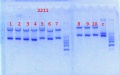Thumbnail for version as of 16:30, 15 May 2014